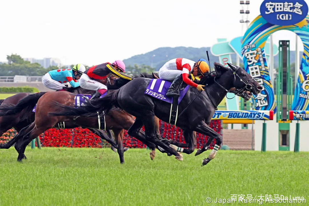 香港王中王與一馬中特肖的獨(dú)特魅力，深度解析與探索，香港王中王與一馬中特肖的獨(dú)特魅力，深度探索與解析