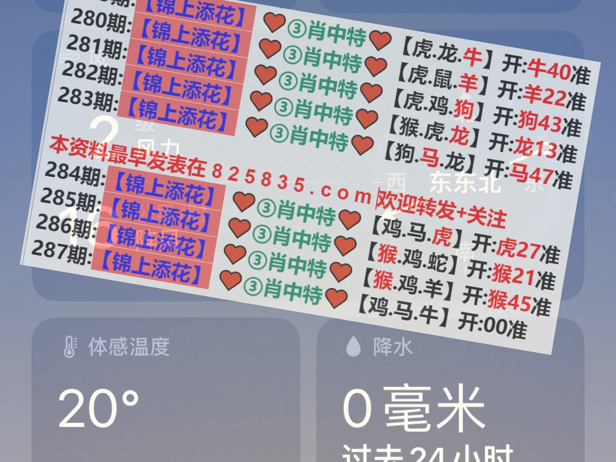 新澳2025年精準(zhǔn)一肖一碼，揭秘預(yù)測背后的秘密，揭秘新澳2025年精準(zhǔn)一肖一碼預(yù)測背后的秘密