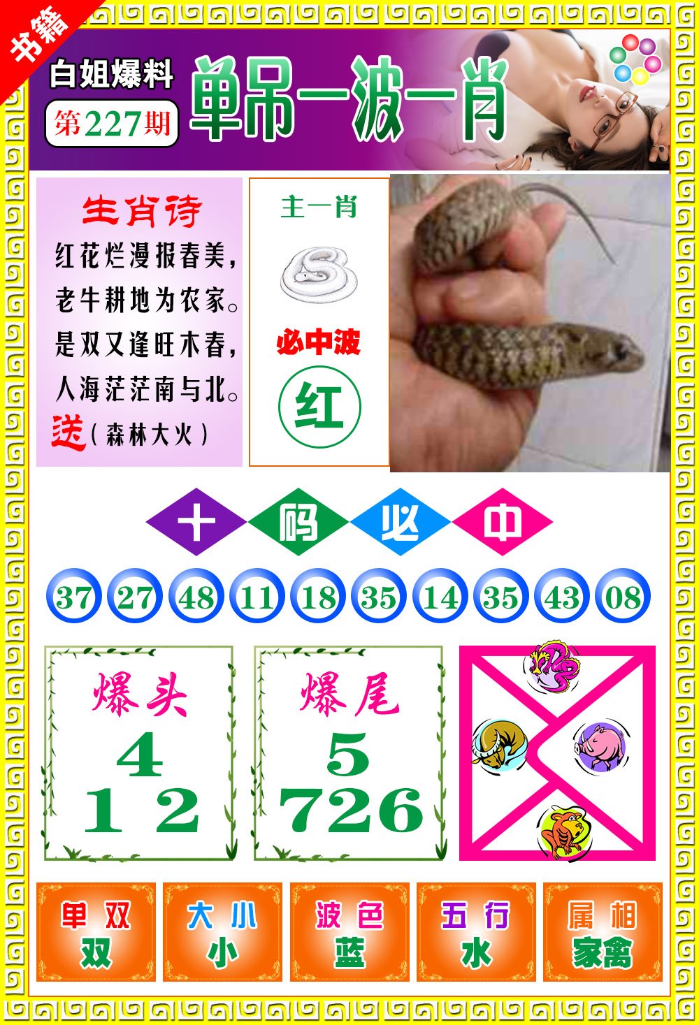 王中王免費(fèi)開(kāi)獎(jiǎng)一肖結(jié)果，揭秘彩票背后的秘密，揭秘王中王彩票開(kāi)獎(jiǎng)內(nèi)幕，一肖結(jié)果背后的秘密揭曉
