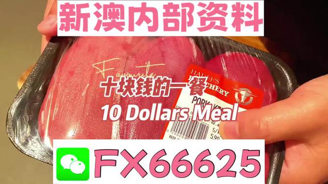 揭秘2025新澳精準(zhǔn)資料免費(fèi)大全——一站式獲取最新資源，揭秘2025新澳精準(zhǔn)資料免費(fèi)大全，最新資源一站式獲取