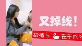 王中王欲錢詩猜一肖，王中王欲錢詩暗示的生肖之謎