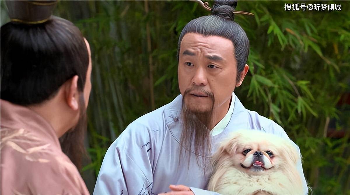 揭秘劉伯溫四不象一肖的神秘面紗——探尋背后的傳奇故事，揭秘劉伯溫四不象一肖背后的傳奇故事，神秘面紗下的神秘傳說