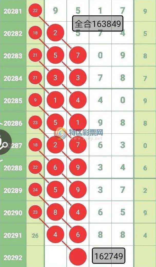王中王四選一肖中特，深度解析與探索，王中王四選一肖中特深度解析與探索揭秘