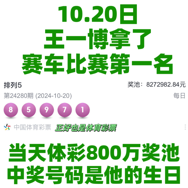 王中王一肖資料中特馬——深度解析與SEO洞察，王中王一肖特馬深度解析與SEO洞察揭秘