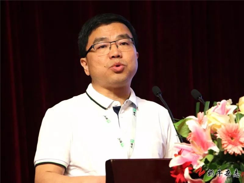 王中王一平特肖，揭秘第100期的秘密與策略，揭秘第100期秘密與策略，王中王一平特肖獨(dú)家解析