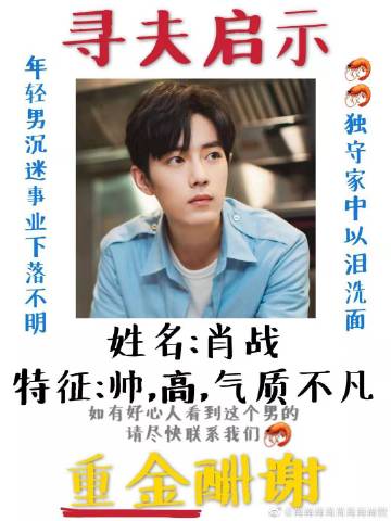 一肖一碼一一肖一子善，探尋命運(yùn)密碼與智慧之光的完美結(jié)合，命運(yùn)密碼與智慧之光，一肖一碼一一肖一子善的探尋