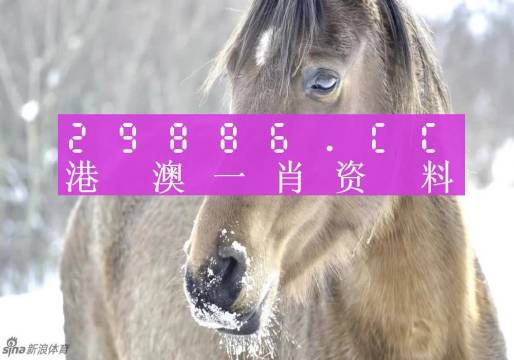 澳門一肖一碼背后的故事，精準背后的秘密與傳奇，澳門一肖一碼背后的秘密與傳奇故事揭秘