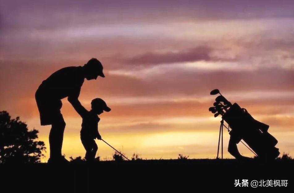 森林高手王中王與神秘生肖——深度解讀背后的故事與秘密，森林高手王中王與神秘生肖，故事背后的深度解讀與秘密探尋