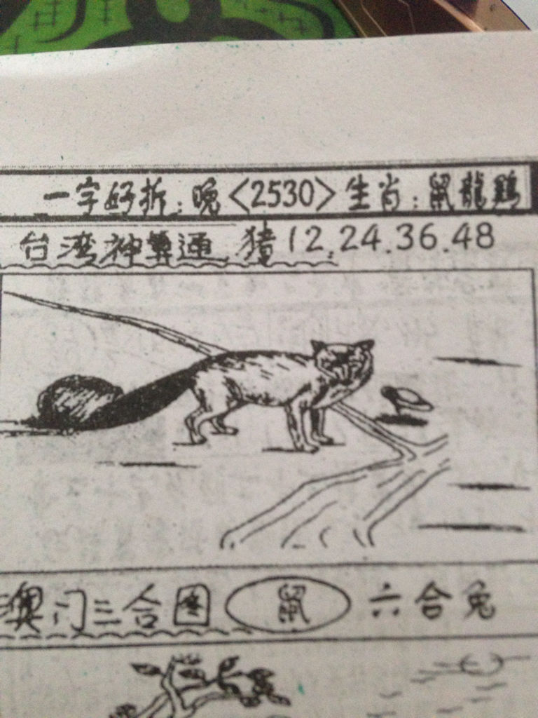 揭秘生肖奧秘，看圖猜一生肖劉伯溫的傳奇故事，揭秘生肖奧秘，劉伯溫傳奇故事中的生肖之謎探索