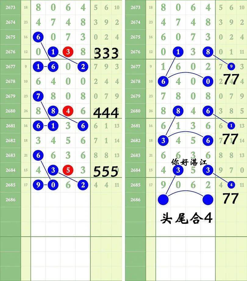 一肖三碼王中王絕密，揭秘背后的秘密與策略洞察，揭秘一肖三碼王中王絕密策略與背后秘密