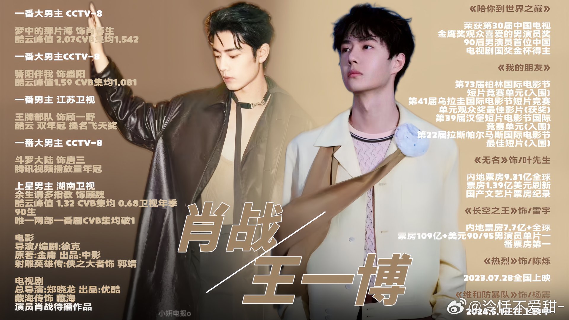 王中王一肖中特全年資料解析與SEO優(yōu)化策略，王中王一肖中特全年資料解析與SEO策略詳解