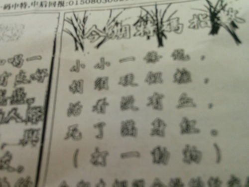 揭秘劉伯溫的一肖一特，探尋神秘傳奇背后的真相，劉伯溫傳奇揭秘，揭秘生肖之謎與獨(dú)特特質(zhì)背后的真相