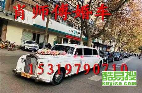 王中王車奪平特一肖免費——深度解析與探索，王中王車奪平特一肖，深度解析與免費探索