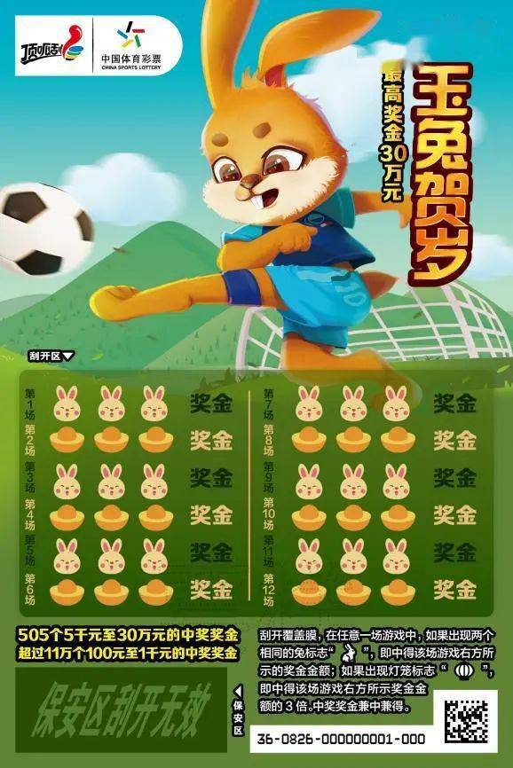 王中王一肖中特兔費(fèi)，探索關(guān)鍵詞背后的奧秘，探索關(guān)鍵詞王中王一肖中特兔費(fèi)背后的奧秘