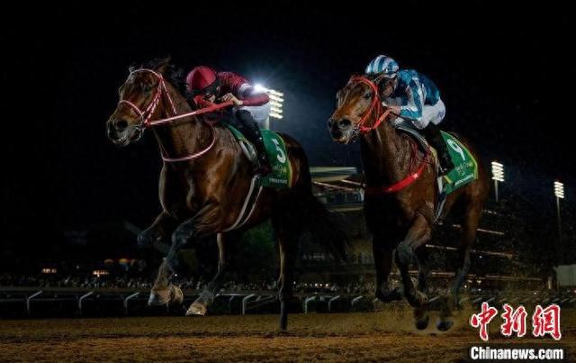 香港王中王一肖中特馬，探索背后的奧秘，香港王中王一肖中特馬背后的奧秘探索