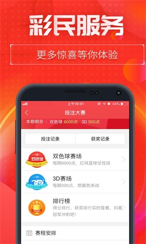 王中王一肖二碼中特，揭秘彩票背后的秘密與策略，揭秘彩票背后的秘密與策略，王中王一肖二碼中特探討