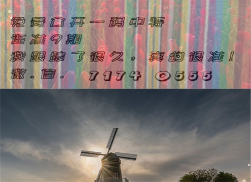 王中王四肖三期必出一期，揭秘彩票背后的秘密策略與技巧，揭秘彩票策略與技巧，王中王四肖三期必出一期之道