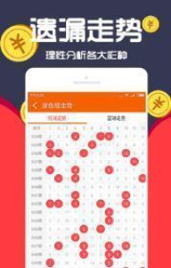 王中王一肖十，深度解析與SEO優(yōu)化策略，王中王一肖十深度解析與SEO優(yōu)化策略探討