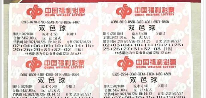 王中王084期指一生肖，解讀背后的秘密與生肖運勢分析，王中王084期生肖揭秘，秘密解讀與運勢展望