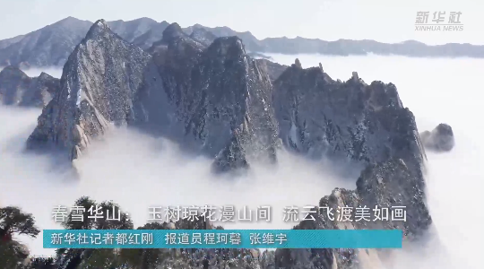 澳門最精準(zhǔn)龍門，探索真正的精準(zhǔn)之道，澳門最精準(zhǔn)龍門，揭秘真正的精準(zhǔn)之道