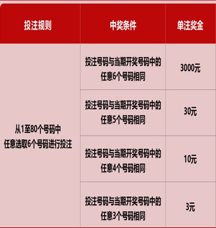 新澳門六開彩天天開獎結(jié)果，揭秘彩票背后的秘密，揭秘新澳門六開彩天天開獎背后的秘密