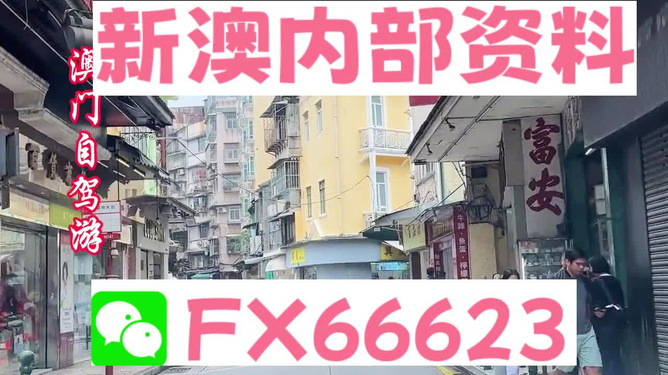 新澳精準資料免費提供，探索與利用資源助力成功，新澳精準資料免費分享，助力成功探索與利用資源
