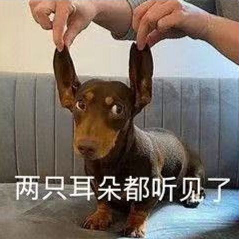 王中王四不象必中一肖，揭秘背后的秘密與策略，揭秘王中王四不象必中一肖背后的秘密與策略之道