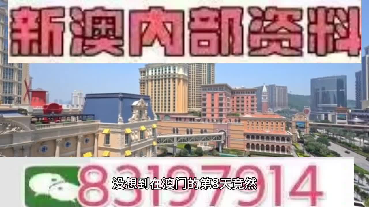 新澳門今晚必開一肖一特，探索生肖與特碼的魅力，澳門生肖特碼探索，今晚必開一肖一特之魅力