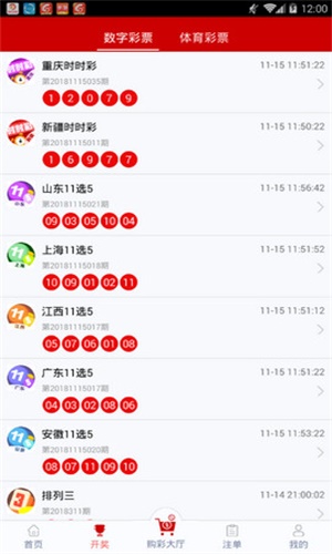 一碼一肖，揭秘背后的秘密與探索其獨(dú)特魅力，揭秘一碼一肖背后的秘密與獨(dú)特魅力探索