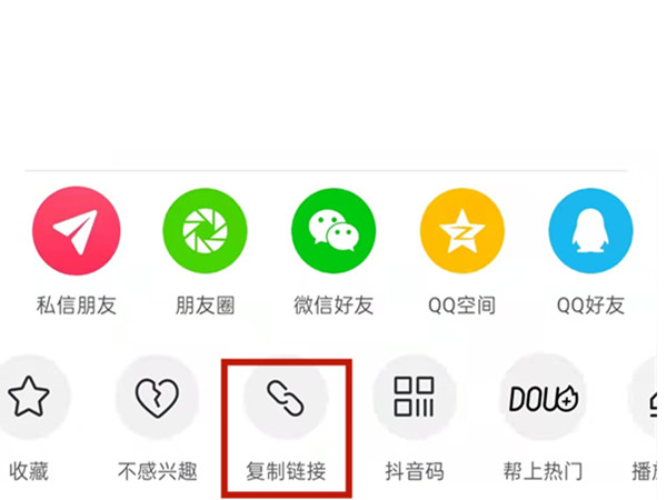 白小姐王中王中特一肖，神秘傳奇與SEO探索，神秘傳奇與SEO探索，白小姐王中王中特一肖的奧秘