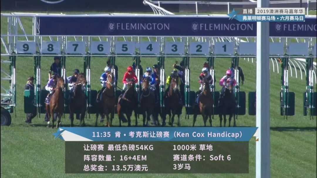 賽馬澳門六月開獎結果，探索與期待，澳門六月賽馬開獎揭曉，探索結果引期待