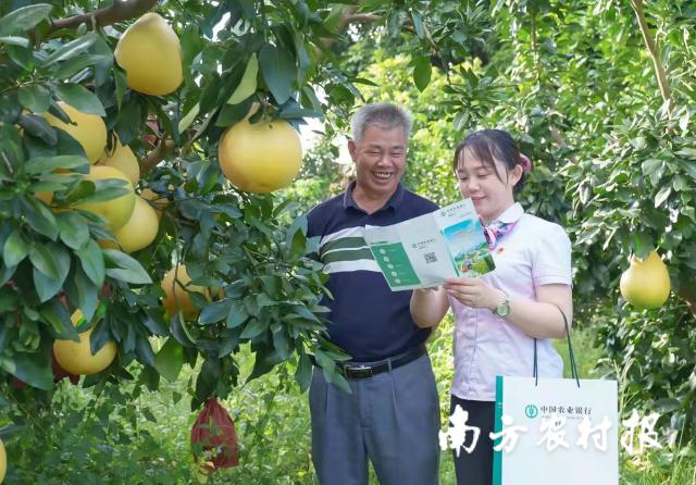 資料大全正版資料2025，一站式獲取所有你需要的信息，資料大全正版資料2025，一站式獲取所有信息總匯