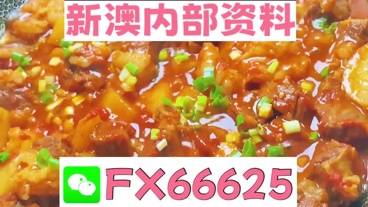 新澳2025正版資料大全——全面解析與獲取指南，新澳2025正版資料大全，全面解析與獲取指南手冊