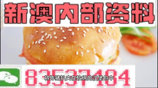 2025新澳正版資料精準解析，2025新澳正版資料精準解析手冊