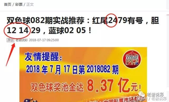 王中王082期指一生肖——探尋生肖魅力，洞悉運勢奧秘，探尋生肖魅力，揭秘運勢奧秘——王中王生肖運勢解析 082期