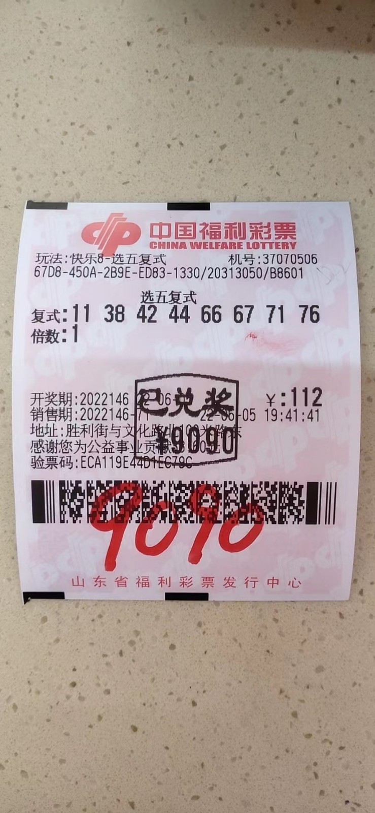 揭秘002期王中王平特一肖，背后的故事與奧秘，揭秘王中王平特一肖背后的故事與奧秘（第002期）