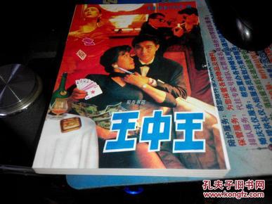 王中王資料一肖中特小說，深度解析與探索，王中王資料一肖中特小說的深度解析與探索之旅