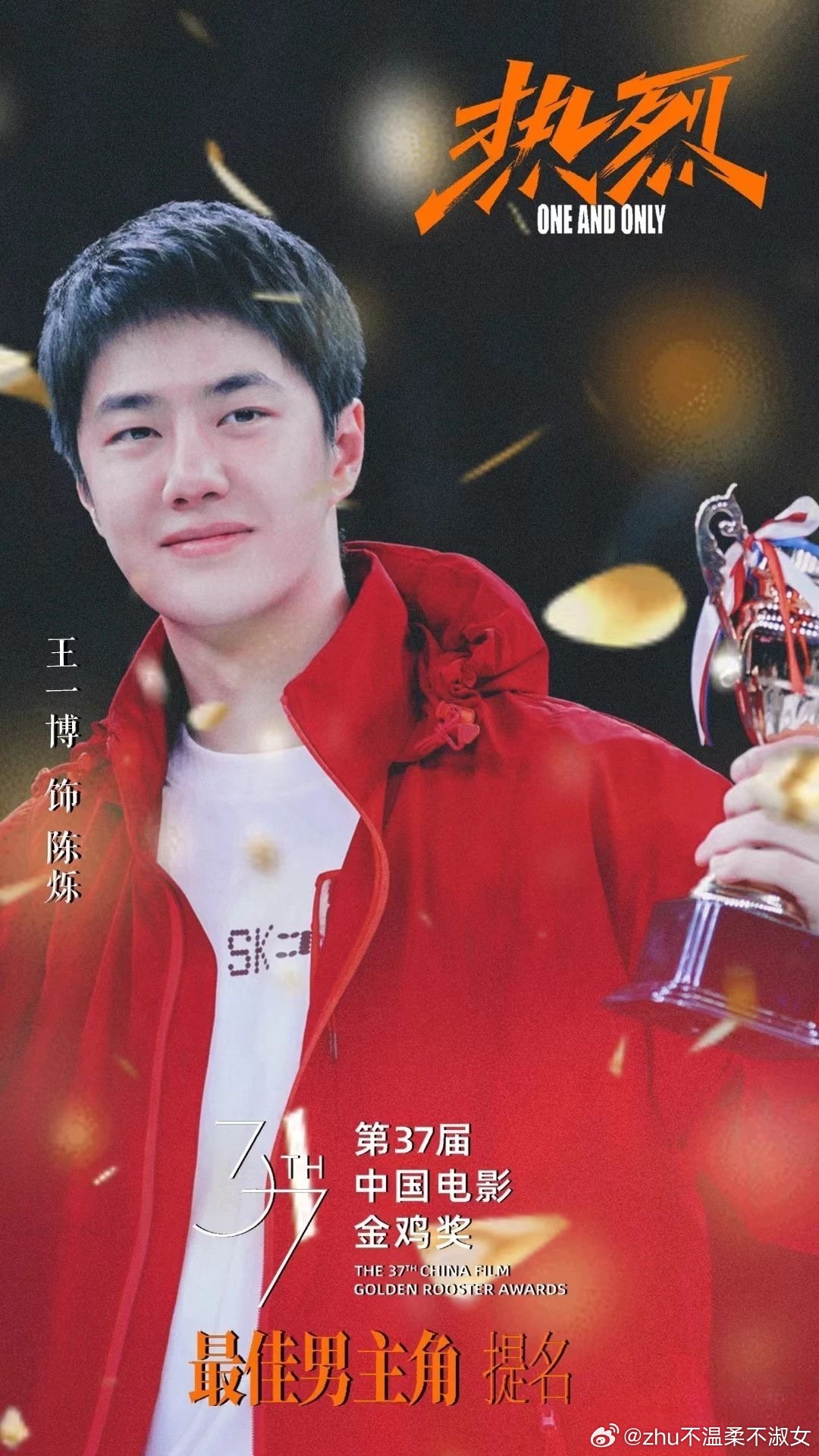 王中王一肖一特一中一中，探尋背后的故事與奧秘，探尋王中王一肖背后的故事與奧秘