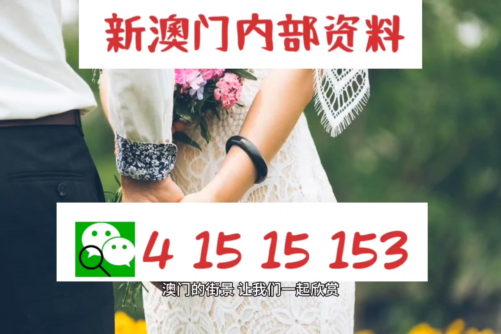 新澳精準(zhǔn)資料，深度解析與探索，新澳精準(zhǔn)資料深度解析與探索之旅