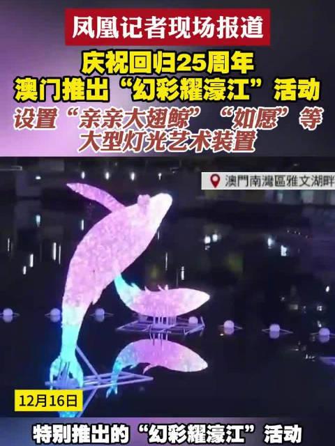 新澳門六開獎結果查詢濠江論壇——快速獲取開獎信息的首選平臺，澳門六開獎結果查詢首選平臺，濠江論壇快速更新開獎信息