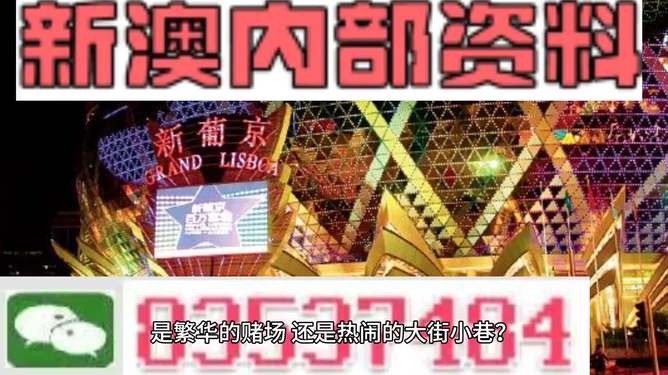 新澳門精準資料大全管家婆料，探索與解析，澳門精準資料大全解析，探索管家婆料內(nèi)幕