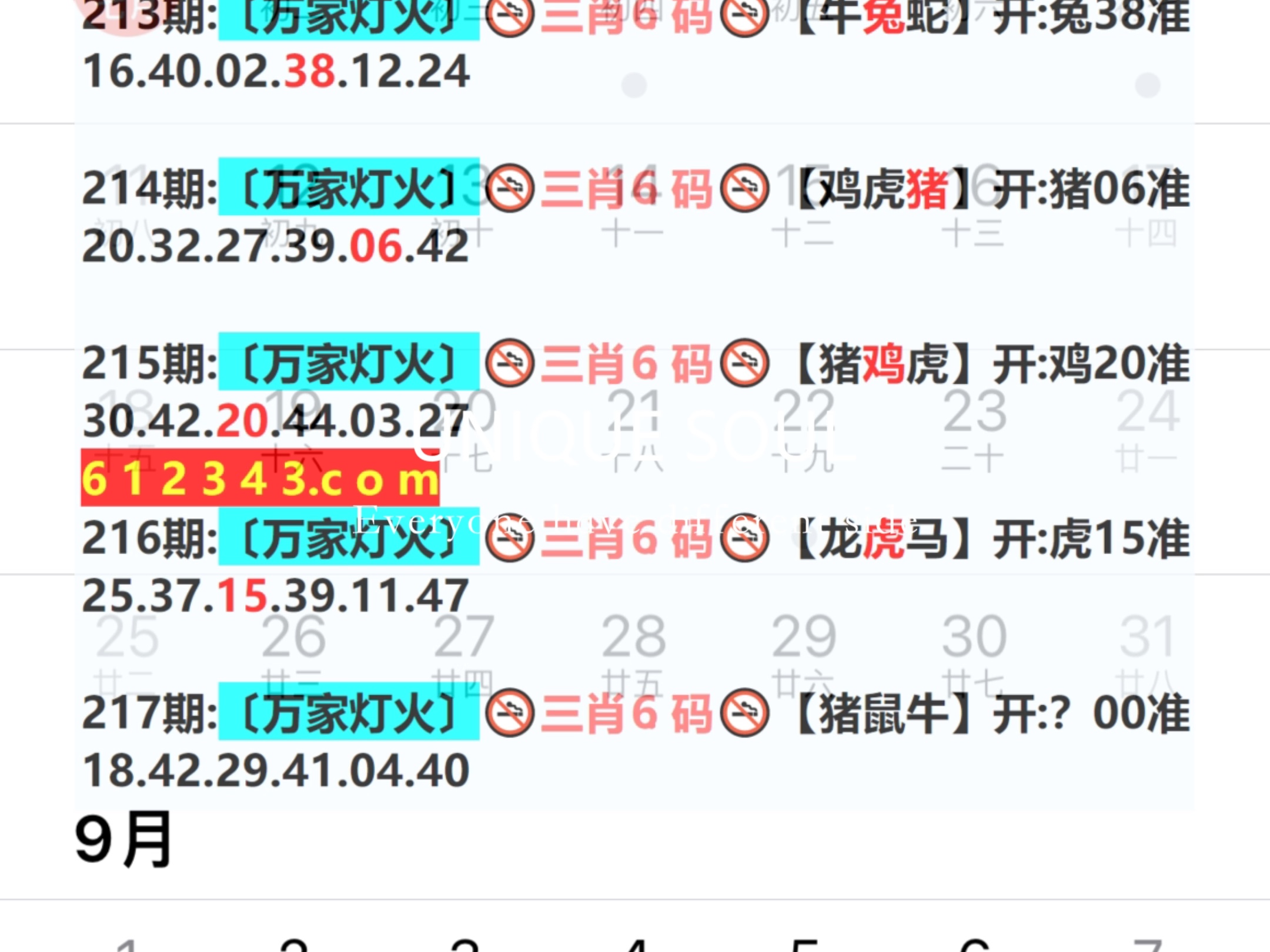 新奧今日六肖中特，揭秘背后的秘密與趨勢(shì)分析，揭秘新奧今日六肖中特背后的秘密與趨勢(shì)分析