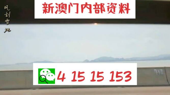 新澳2025最新資料生肖，深度解析與預(yù)測展望，新澳2025最新生肖資料深度解析與未來預(yù)測展望