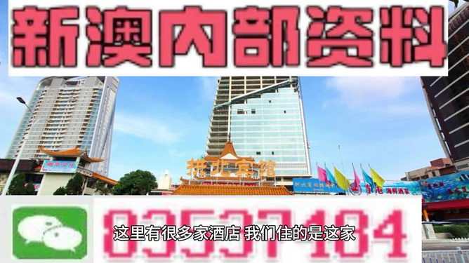 新澳內(nèi)部期期精準(zhǔn)，深度解析與SEO優(yōu)化策略，新澳內(nèi)部期期精準(zhǔn)深度解析與SEO優(yōu)化策略探討
