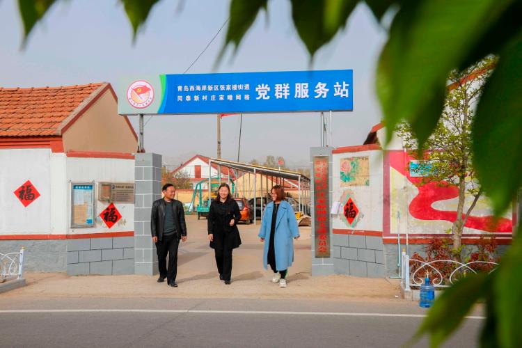 2025新澳天天開彩大全——衣冠群獸探秘，2025新澳天天開彩大全，衣冠群獸探秘之旅