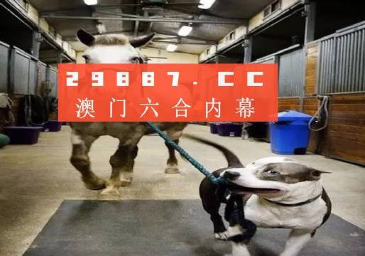 澳門一肖一碼一必中一肖，同舟前進的奧秘與策略，澳門一肖一碼必中策略與前進奧秘，同舟共濟的揭秘與策略