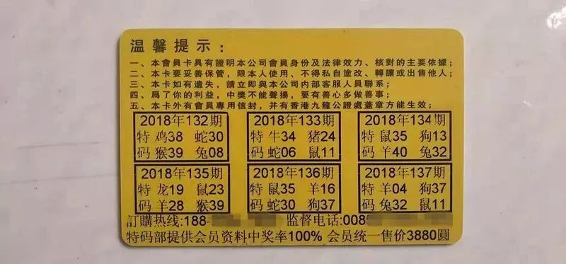 香港中特期期準(zhǔn)資料，深度解析與探索，香港中特期期準(zhǔn)資料深度解析與探索報(bào)告