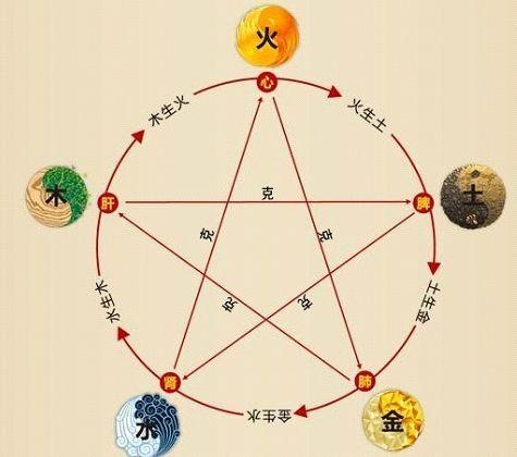 鐵算算盤4887最準(zhǔn)資料，揭秘其背后的秘密與優(yōu)勢(shì)，揭秘鐵算算盤4887，最準(zhǔn)資料背后的秘密與優(yōu)勢(shì)