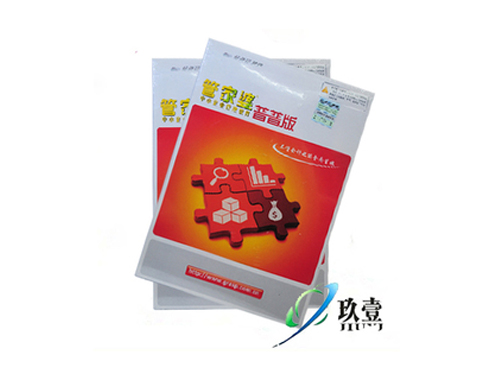 管家婆必出一中一特，揭秘神秘數(shù)字100背后的秘密，揭秘管家婆神秘數(shù)字100背后的秘密，必出一中一特