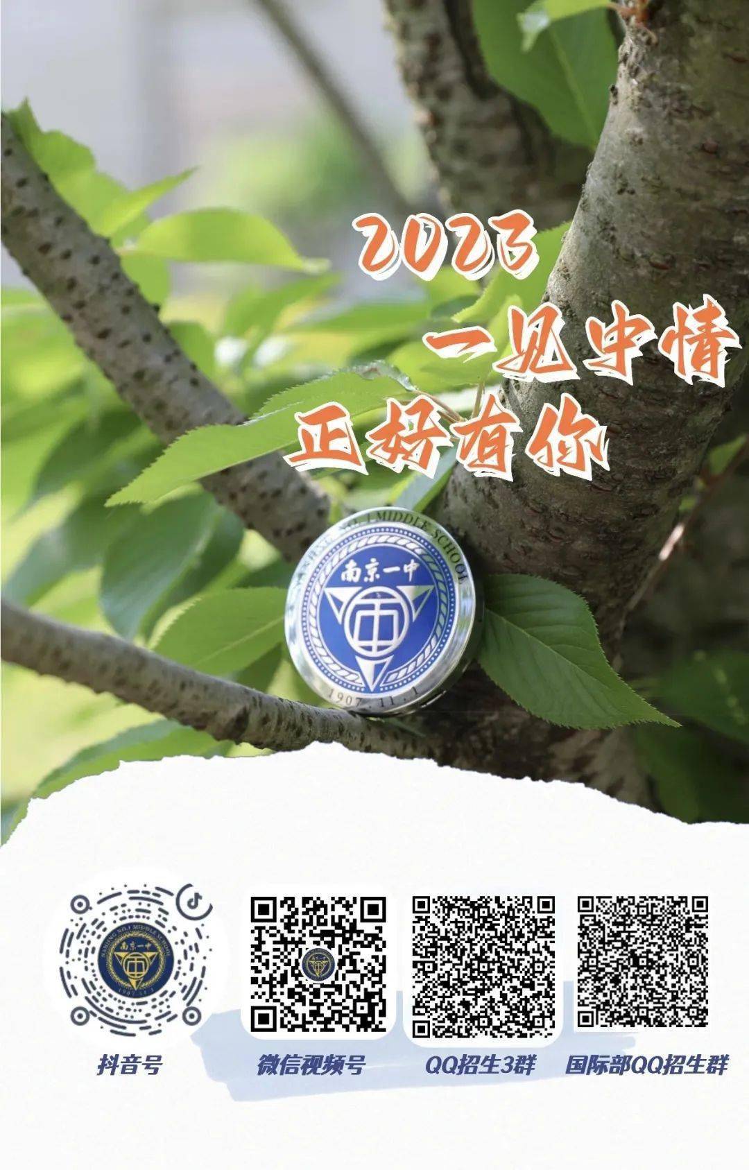 一碼一肖一特一中，揭秘背后的秘密與奧秘，揭秘一碼一肖一特一中背后的秘密奧秘